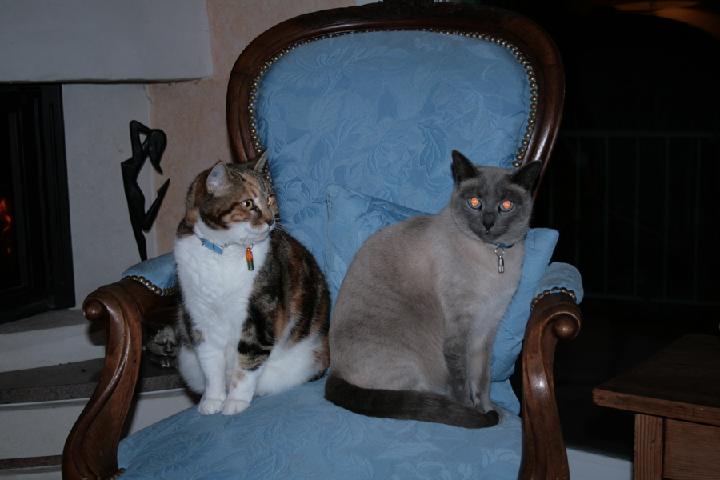 2010-01 0004.JPG